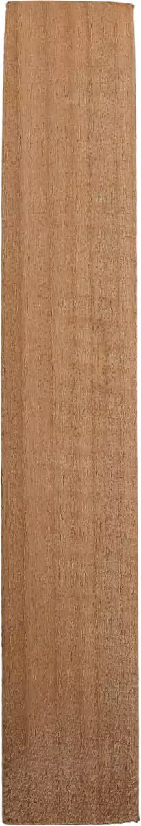 Salix cardiophyllasubsp. <i>Urbaniana</i>  (Seemen) A.K.Skvortsov