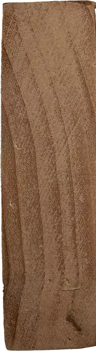 Salix cardiophyllasubsp. <i>Urbaniana</i>  (Seemen) A.K.Skvortsov
