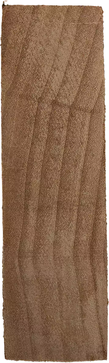 Salix cardiophyllasubsp. <i>Urbaniana</i>  (Seemen) A.K.Skvortsov