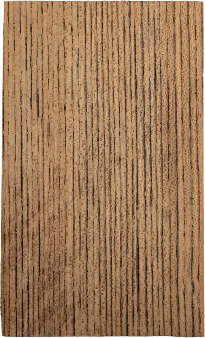 Ulmus davidiana PlanchVar. <i>japonica</i> Nakai
