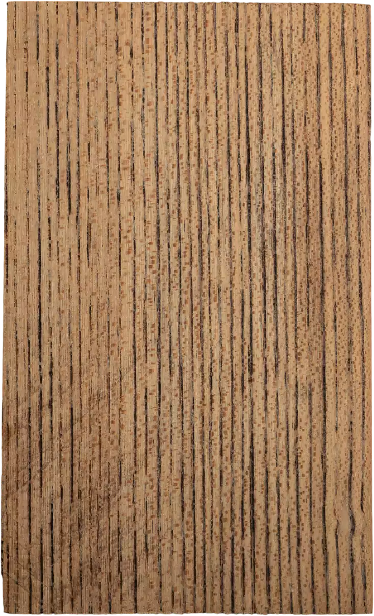 Ulmus davidiana PlanchVar. <i>japonica</i> Nakai