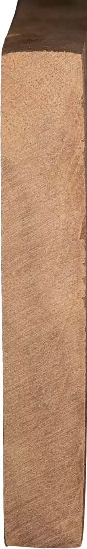 Ternstroemia philippinensisvar. <i>megacarpa</i> (Merr.) Kobuski