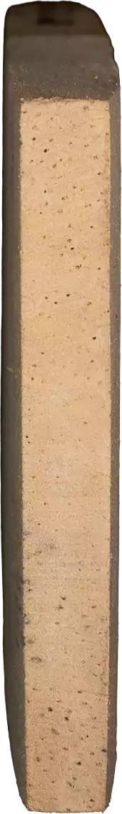 Ricinodendron heudelotiisubsp.  <i>Africanum</i> (Müll.Arg.) J.Léonard