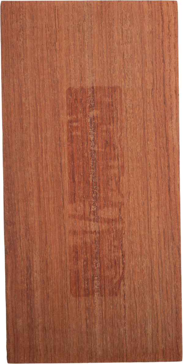 Pterocarpus macrocarpus Kurz