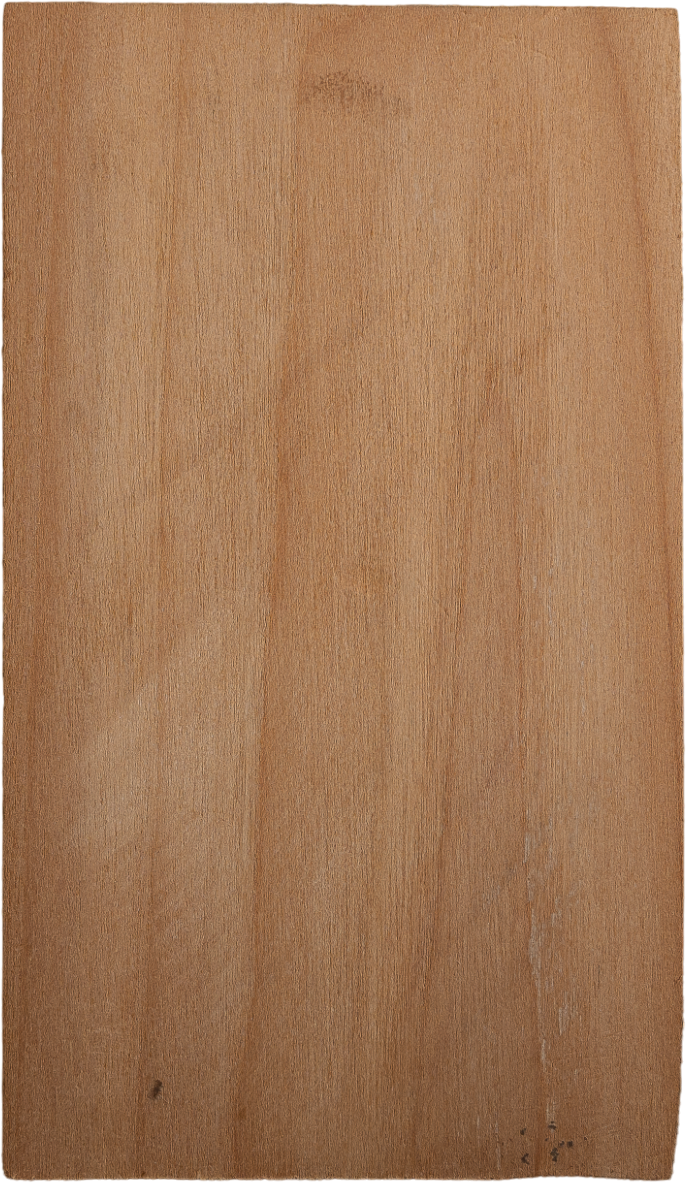 Salix cardiophyllasubsp. <i>Urbaniana</i>  (Seemen) A.K.Skvortsov