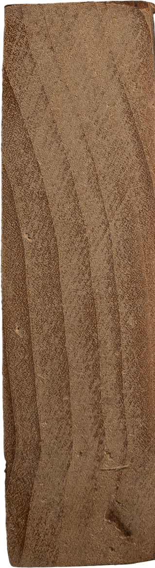 Salix cardiophyllasubsp. <i>Urbaniana</i>  (Seemen) A.K.Skvortsov