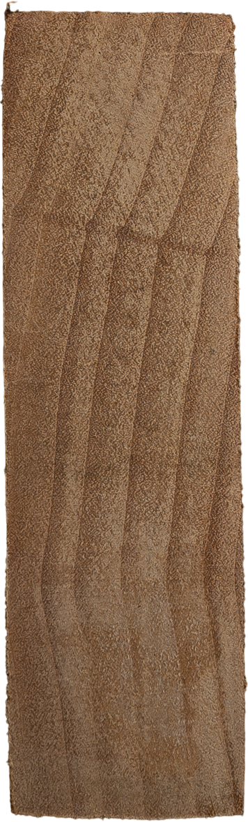 Salix cardiophyllasubsp. <i>Urbaniana</i>  (Seemen) A.K.Skvortsov
