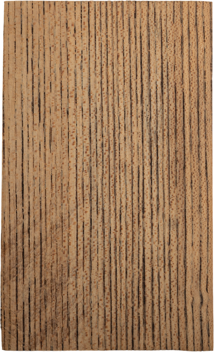 Ulmus davidiana PlanchVar. <i>japonica</i> Nakai