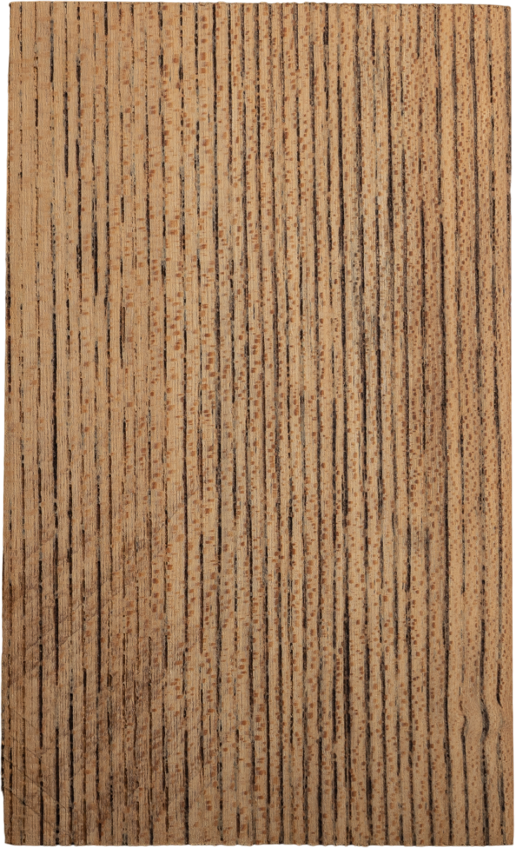 Ulmus davidiana PlanchVar. <i>japonica</i> Nakai