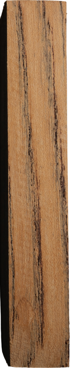 Ulmus davidiana PlanchVar. <i>japonica</i> Nakai