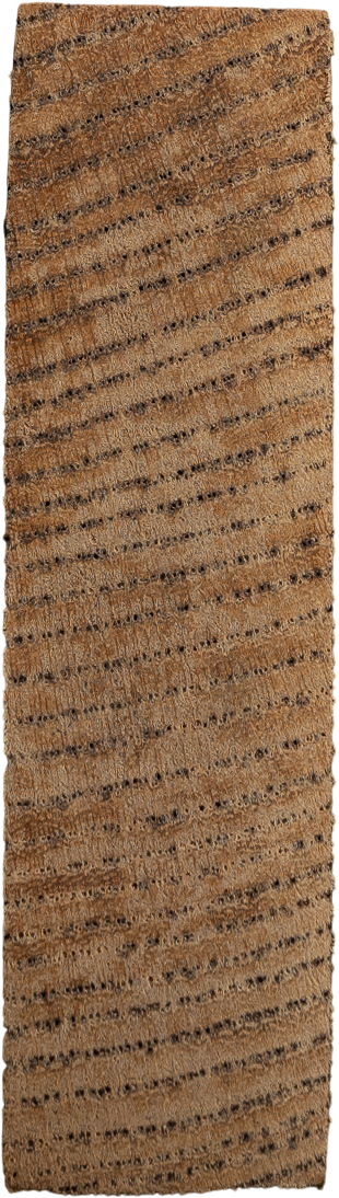 Ulmus davidiana PlanchVar. <i>japonica</i> Nakai