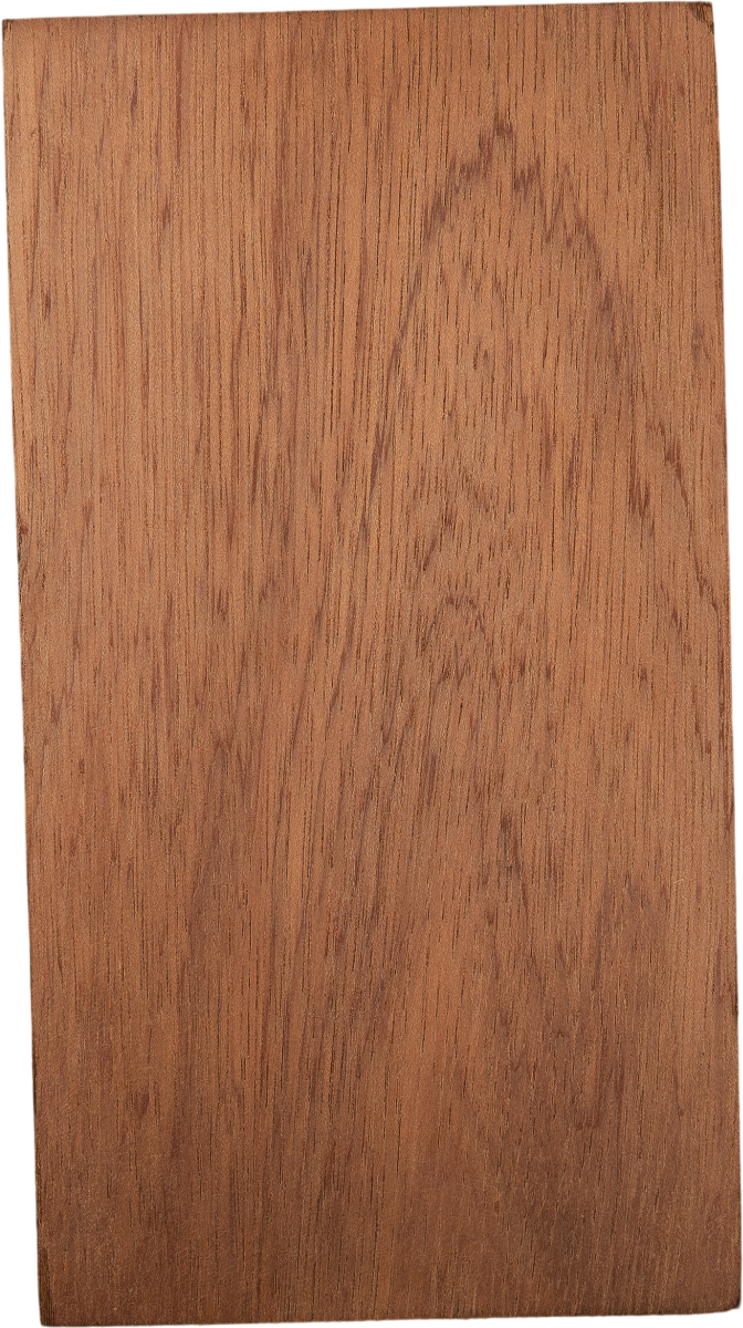 Calophyllum brasiliense var. <i>rekoi</i> (Standl.) Standl.