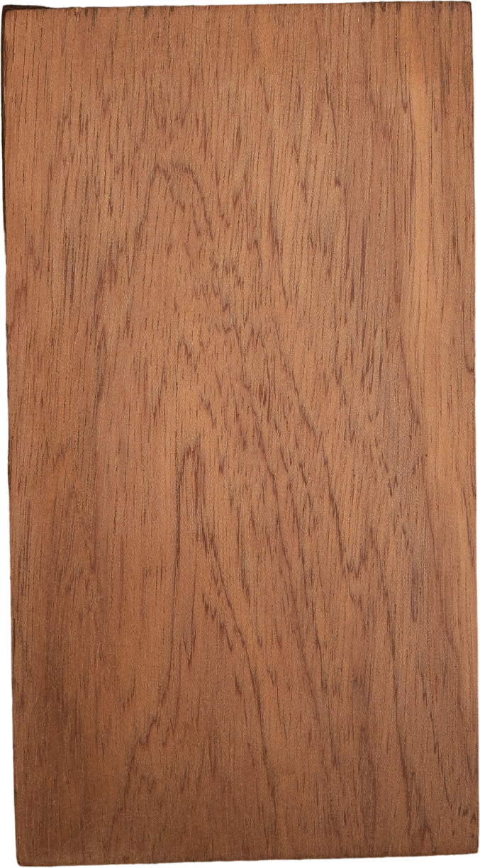 Calophyllum brasiliense var. <i>rekoi</i> (Standl.) Standl.