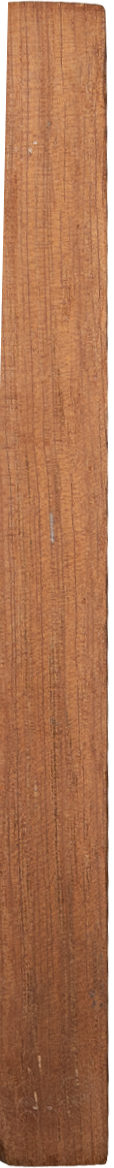 Calophyllum brasiliense var. <i>rekoi</i> (Standl.) Standl.