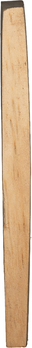 Ricinodendron heudelotiisubsp.  <i>Africanum</i> (Müll.Arg.) J.Léonard