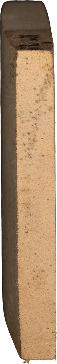 Ricinodendron heudelotiisubsp.  <i>Africanum</i> (Müll.Arg.) J.Léonard