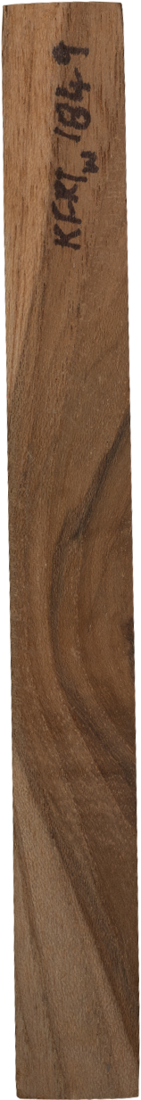 Tectona grandis L. f.